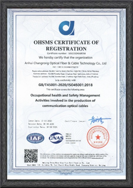 ISO45001 Download.jpg